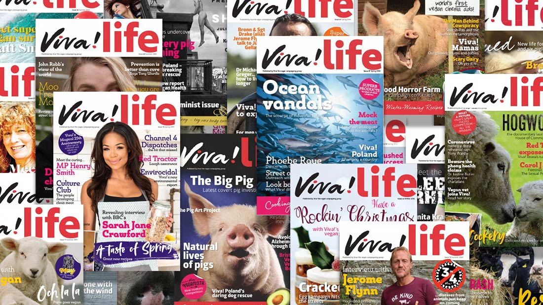 Lord of the Wild – Viva!life 85