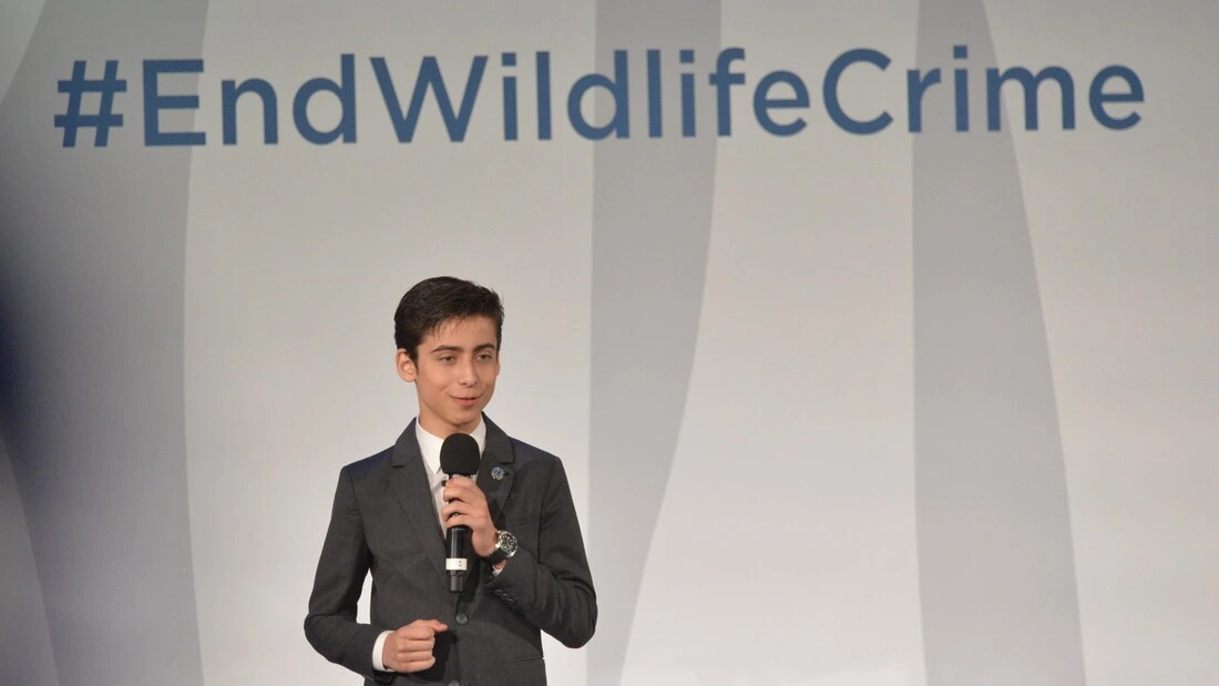 Aidan Gallagher, the American actor and musician
