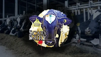 Scary Dairy