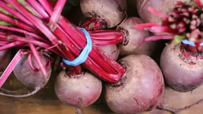 beetroot